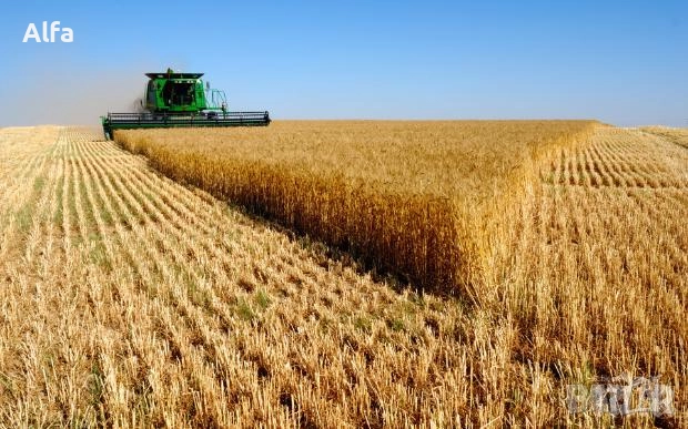 продавам обработваеми земеделски земи, снимка 2 - Земеделска земя - 52258249