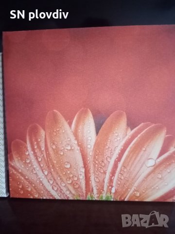 Картини, снимка 3 - Декорация за дома - 43179905