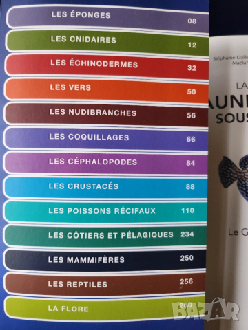 Флора и фауна в морето на Реюнион - на френски, описани 600 вида(вкл.300 вида риби), 800 цветни фото, снимка 4 - Енциклопедии, справочници - 52576292