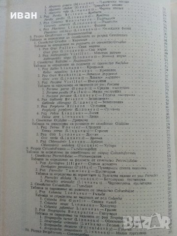 Фауната на България Том 20 част 1 - С.Симеонов,Т.Мичев,Н.Нанкинов - 1990г., снимка 6 - Енциклопедии, справочници - 36783010