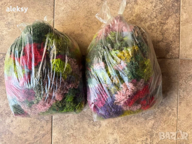 Скандинавски мъх