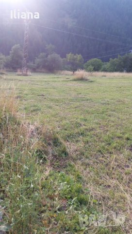 Продавам имот в землището на с.Момчиловци с квадратура 2700кв.м, снимка 9 - Земеделска земя - 37686757