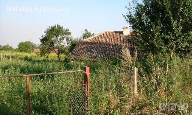 Селска къща Златия, снимка 2 - Къщи - 39719869