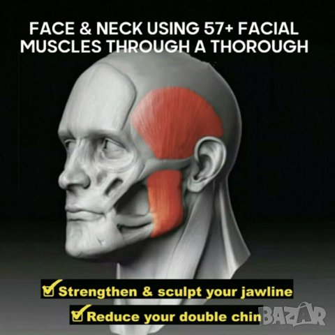 Уред за лицеви мускули, тренажож за лице, снимка 2 - Фитнес уреди - 32848468