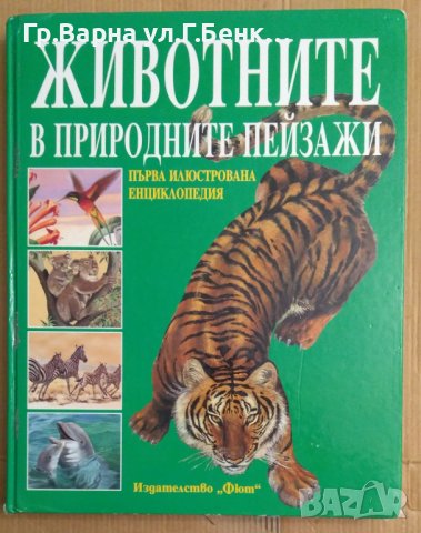 Животните в природните пейзажи "Фют"