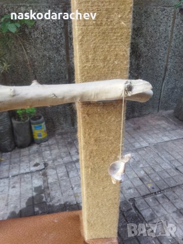 Катерушка за котета за точене на ноктите, снимка 8 - За котки - 42850991