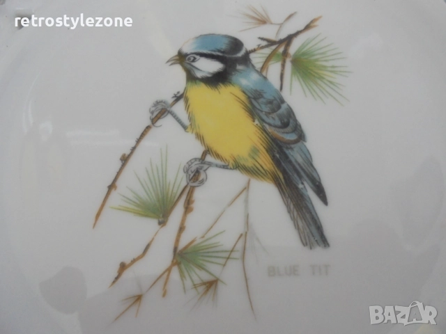 № 8255 Две колекционерски порцеланови чинии / пана – TERRA , снимка 3 - Други ценни предмети - 51661022