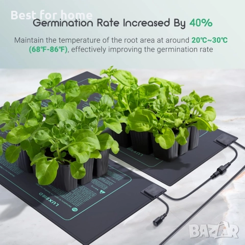 LUXBIRD 2 броя нагревателни постелки за разсад с цифров термостатен контролер, снимка 3 - Оранжерии - 51594337