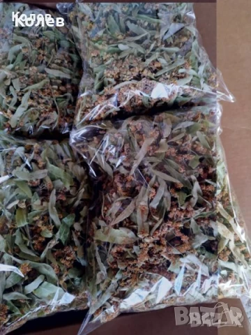 Сушен липов цвят - реколта 2025 г., снимка 2 - Други - 51243956