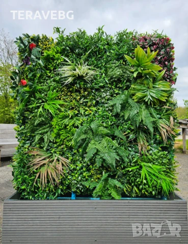 Изкуствени зелени стени 