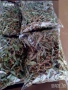 Сушен липов цвят - реколта 2025 г., снимка 2
