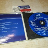 POP IDOL PERFORMER KARAOKE CDG 0401242014, снимка 6 - CD дискове - 43660898