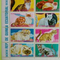 Котки- Блок Екваториална Гвинея, снимка 2 - Филателия - 37870945
