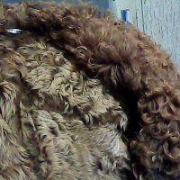 официално луксозно кожено палто леонардо италия100% оригинал , снимка 2 - Палта, манта - 27308135