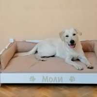 Легло за куче, коте (модел Пери) , снимка 4 - За кучета - 22375793