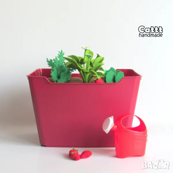 ГРАДИНКА с ягодки и зеленчуци, снимка 1