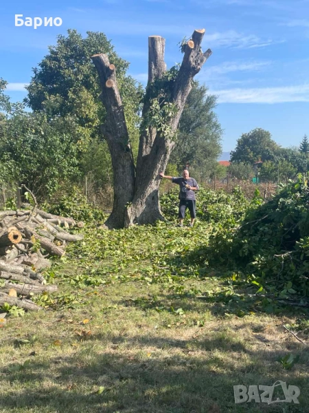 орех за материал, снимка 1