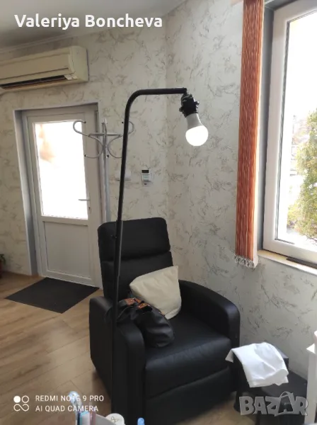 Черен лампион, снимка 1