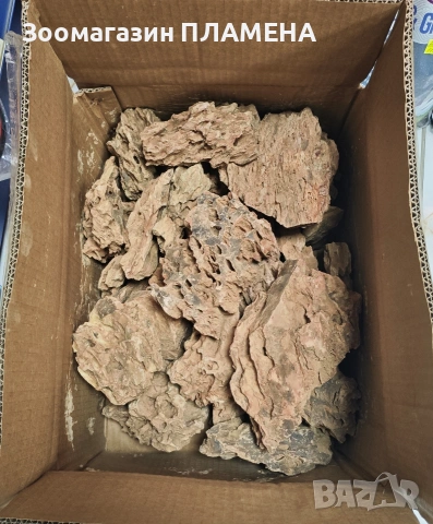 Азалия и драконов камък , снимка 3 - Аквариуми - 53130233