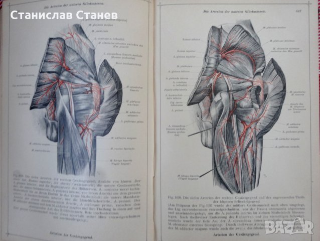 Антикварни книги - атлас анатомия - 2 бр., снимка 5 - Антикварни и старинни предмети - 27970222