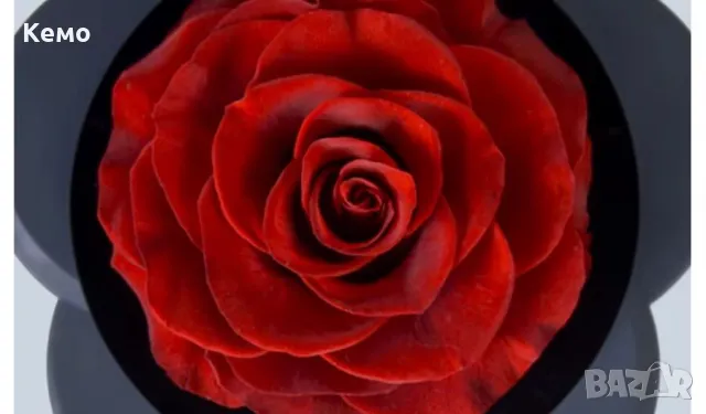 Естествена роза в кутия за бижута, снимка 2 - Подаръци за жени - 48771704