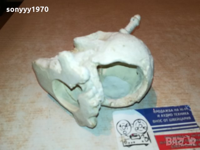 ЧЕРЕП-ВНОС France 🇫🇷 2712211936, снимка 9 - Антикварни и старинни предмети - 35253944