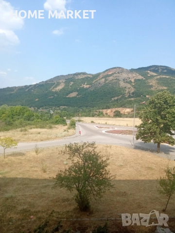 Земеделска земя под наем , снимка 4 - Земеделска земя - 52392531