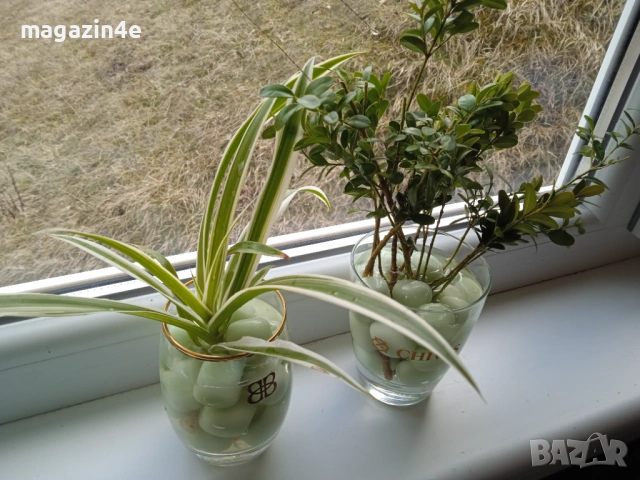 Чаша с  300 грама полускъпоценни камъни и цвете,Кристали и Минерали,, снимка 3 - Декорация за дома - 53478068