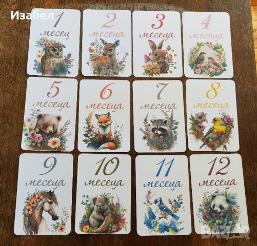 Карти за отбелязване на месеците, снимка 12 - Карти за игра - 43951561