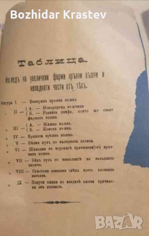 Кръвната въшка и средства противъ нея -П. Я. Поповъ, снимка 2 - Специализирана литература - 33008790