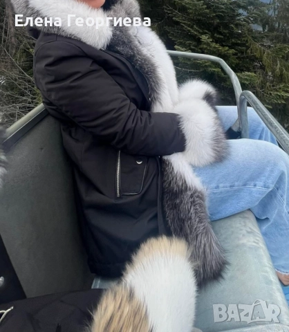 Дамска парка 