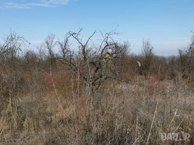 7  декара и 2 вили в Садовете гр.Лом, снимка 16 - Вили - 48773745