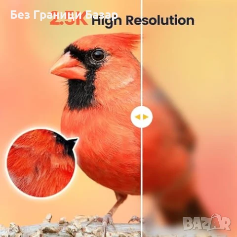 Нова Смарт хранилка за птици с камера, бамбук, AI, 2K, соларна, слънчева, снимка 3 - Други стоки за дома - 51108181