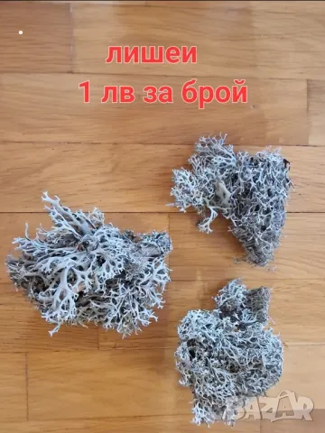 Материали за декорация и дървени шайби , снимка 15 - Декорация за дома - 38644717