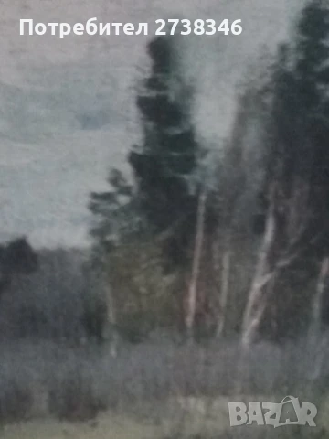 Ръчно рисувани картини , снимка 15 - Картини - 49612694