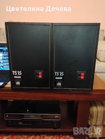 Хай -фи тонколони Arcus Ts15, снимка 3 - Тонколони - 50575550