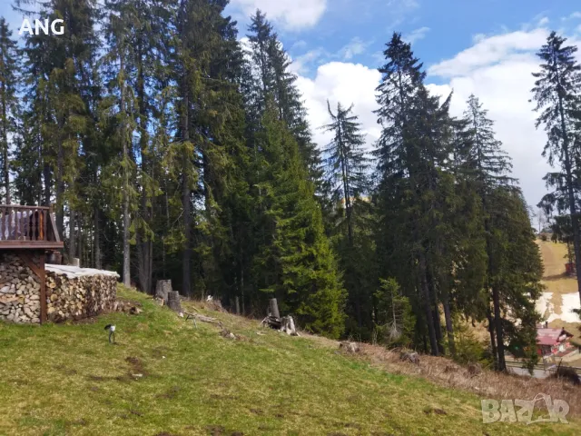 Продава парцел в регулация в к.к.Пампорово, снимка 16 - Парцели - 49774670