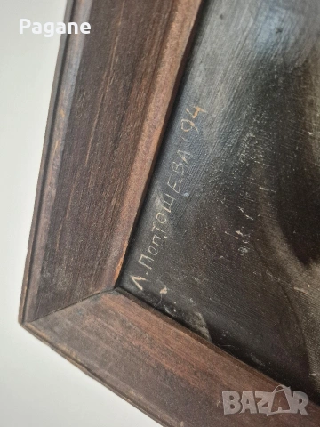 Портрет- Людмила Поптошева, снимка 10 - Картини - 53470400