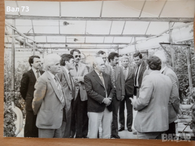 Стари снимки от соца, снимка 3 - Колекции - 53397426