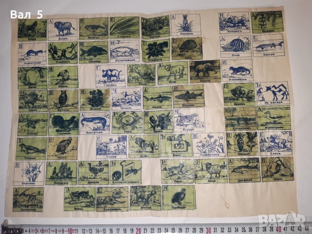 Рекламен албум , стикери шоколад БАЛЪКЧИЕВЪ Царство България, снимка 3 - Колекции - 53308240