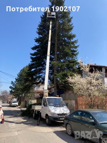 Автовишка под наем.Рязане и кастрене на опасни дървета!, снимка 4 - Други услуги - 32910632