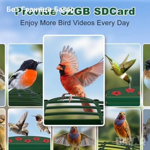 Нова Хранилка за диви птици с камера 1080P соларна  с нощно виждане, снимка 7 - Други стоки за дома - 52816056