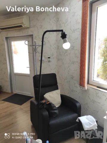 Черен лампион