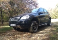 Mercedes ML 500 W 164, снимка 16