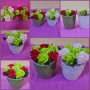 Ароматни сапунени рози в кашпа, снимка 1 - Декорация за дома - 44884232