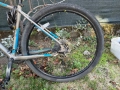 Колело XL , снимка 2