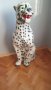 Голяма фигура от смола на леопард, снимка 8