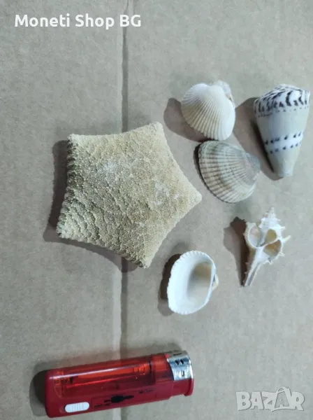  Океански дарове., снимка 1