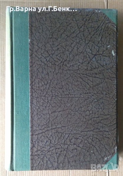 Записки по българските възстания  Захари Стоянов, снимка 1