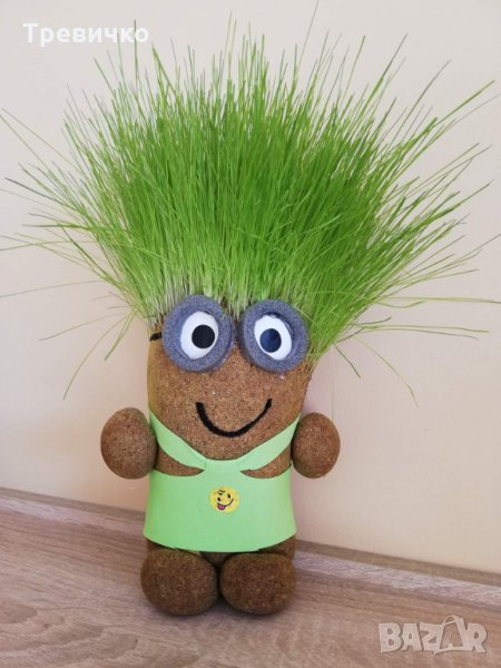 Чичко тревичко , снимка 1